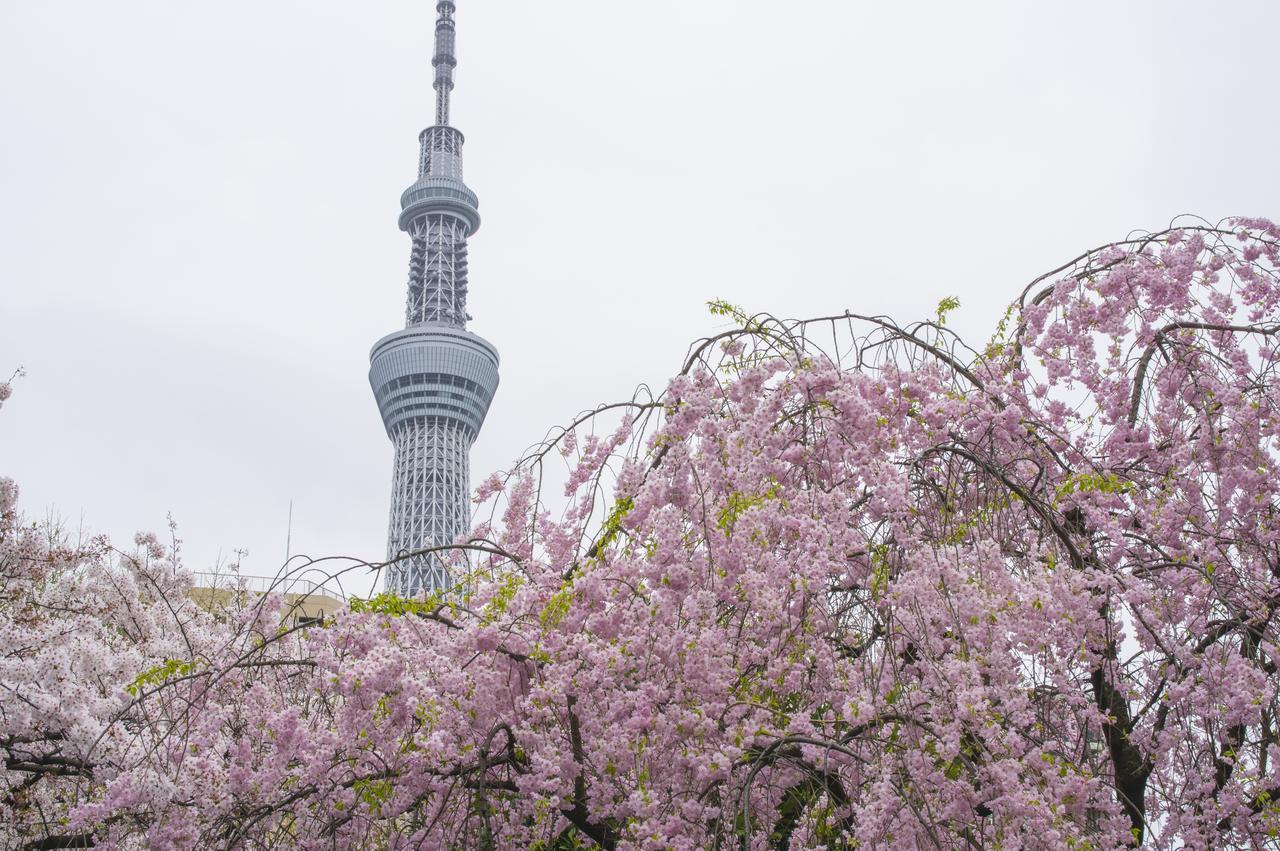 Hotel 3000 Asakusa Honten Токіо Екстер'єр фото